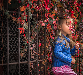 穿着时装和时尚服装的小女孩在秋天野葡萄红秋叶等美丽的图片