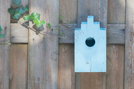 花园里木栅栏上的蓝色鸟舍图片