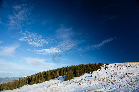 奥地利的冬季景观与树木图片