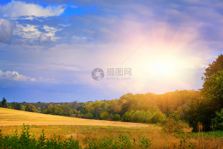 秋天风景与田野和森林图片