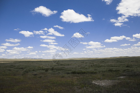 蓝天白云草原景观背景图片