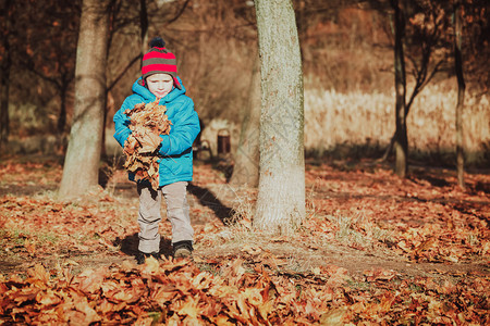 秋天玩树叶的小男孩图片