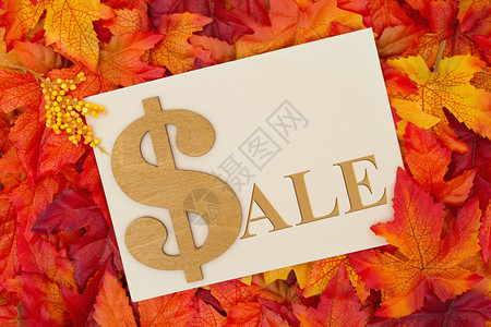 秋季售货信息一些落叶有米图片