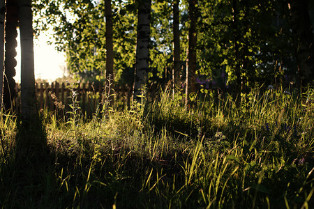 日落时一栋乡村房屋的草坪和图片