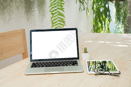 办公桌上的笔记本电脑平板电脑和仙人掌花在树花园背景的花盆上有空白屏幕图片