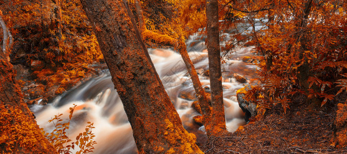 澳大利亚塔斯马尼亚州的新溪流是一条惊人的快速流水添加了带有红色外图片