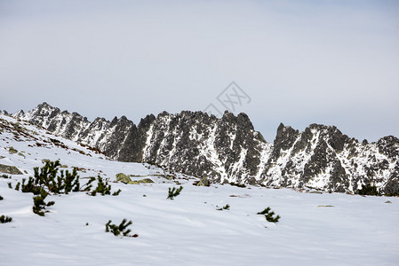 冬天西喀尔巴阡山顶在阳光明媚的图片