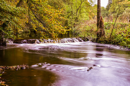 英国唐河秋季森林中的迷你瀑布图片