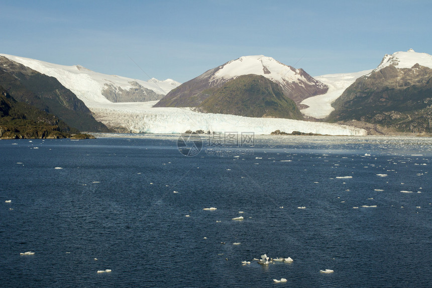 智利萨米恩托海峡边缘的阿玛利亚冰川贼鸥冰川贝尔纳多奥希图片