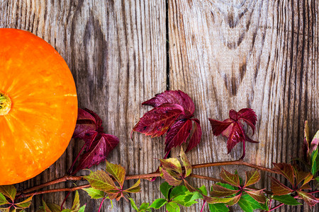 WoodenRustik背景自然照片上与橙图片