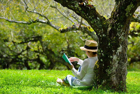 公园里坐在树下看书的中年妇女图片