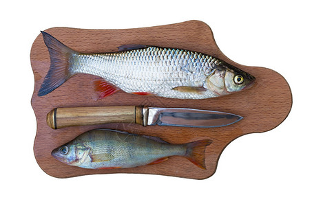 砧板上的鲈鱼鲢鱼和刀背景图片