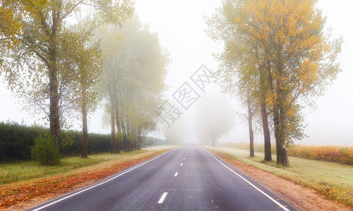 秋天早晨路上的雾图片