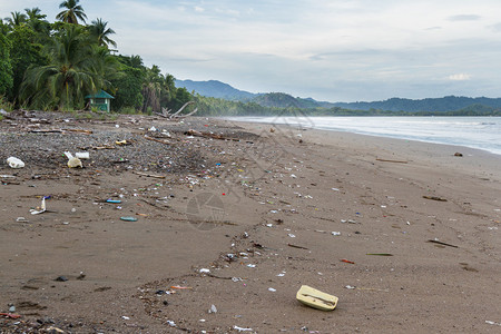 暴风雨过后沙滩上垃圾堆积如泥的图片