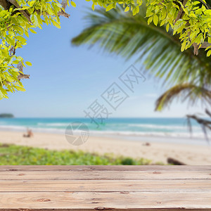 海滩背景绿叶框木地板夏季风景背和设计图片