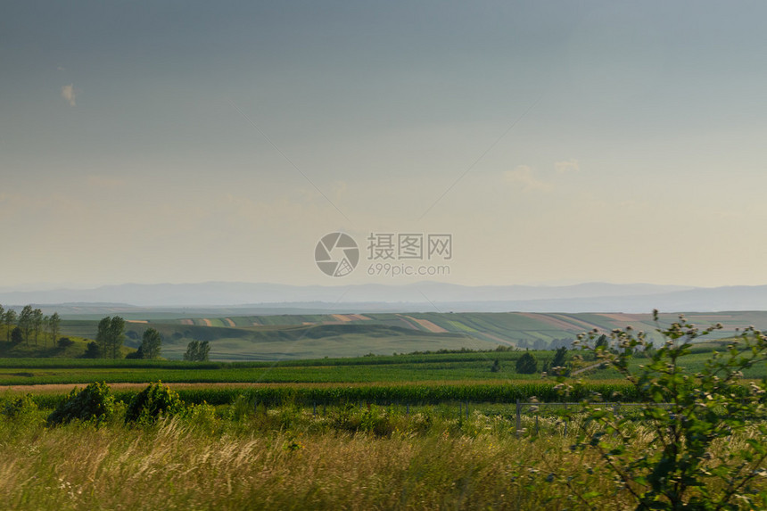 美丽的风景田野和草地图片