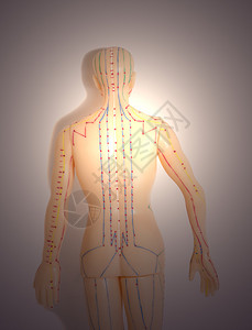 灰色背景下的人体医学针灸模型图片