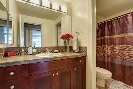 带卫生间淋浴间和酒红色木制梳妆柜的棕色浴室内部美国西北部图片