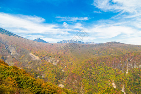 幡日本Tochigi背景