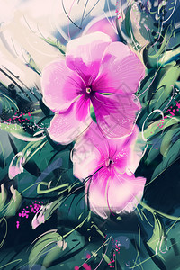 数字画紫色花朵pinkperiwinkl图片