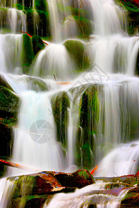 瀑布级联anomg绿色苔藓的场景图片