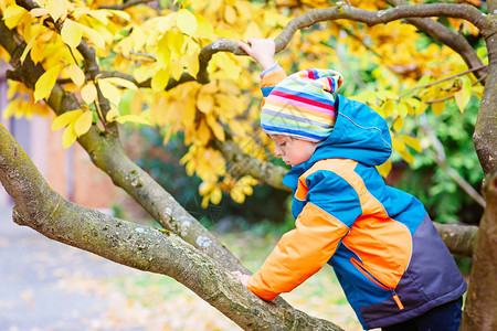 学龄前儿童穿着五颜六色的秋装学习攀爬图片