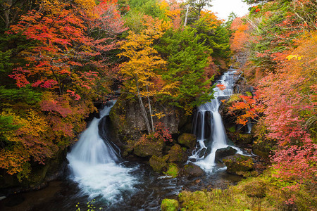 日本Nikko秋天彩图片