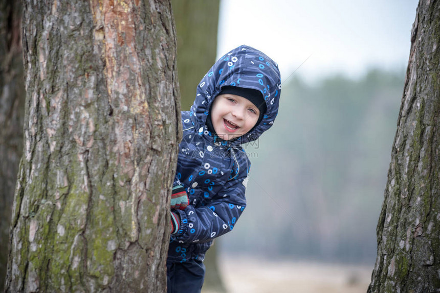 可爱的小男孩玩捉迷藏躲在绿秋公园森林树干后图片
