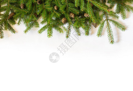 白色背景上的圣诞树图片