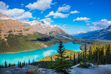 山湖作为狐狸头深受游客喜爱加拿大班夫公园的图片