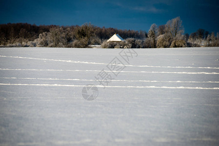 冬天清晨在田野里寒冬在风雪图片