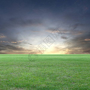 绿地和日落天空视图绿色草坪用于图片