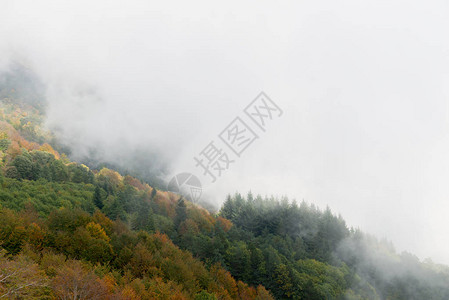 秋天山上的雾图片