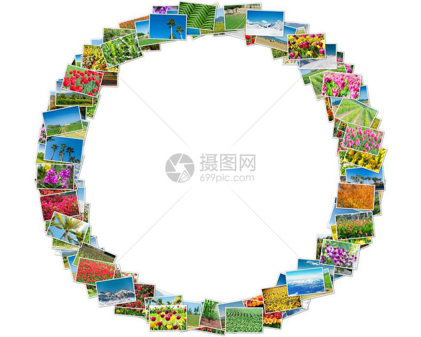 圆形框架排列的各种自然照片图片