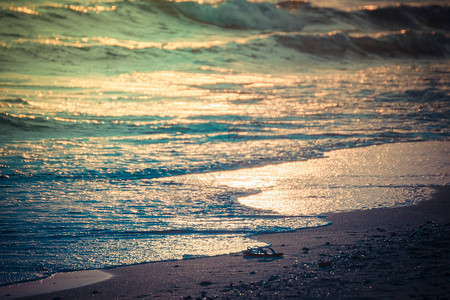 海滩和海边的海洋景色中日落和浪漫的天空是一个自然旅行地点图片