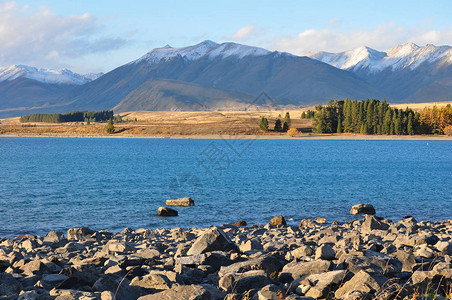 新西兰Tekapo湖新图片