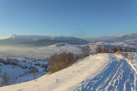 雪覆盖松树的冬季景观图片