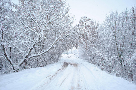 雪下的道路下雪的冬天图片