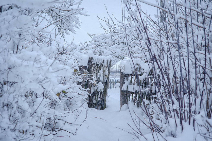 雪下的村庄下雪的冬天图片