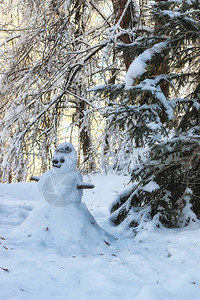 冬雪风树上寒雪十二图片