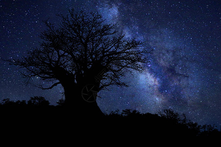 夜空星在南非追踪银河图片