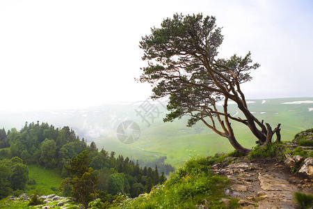 山地景观山谷景色高加索自然湖纳基图片