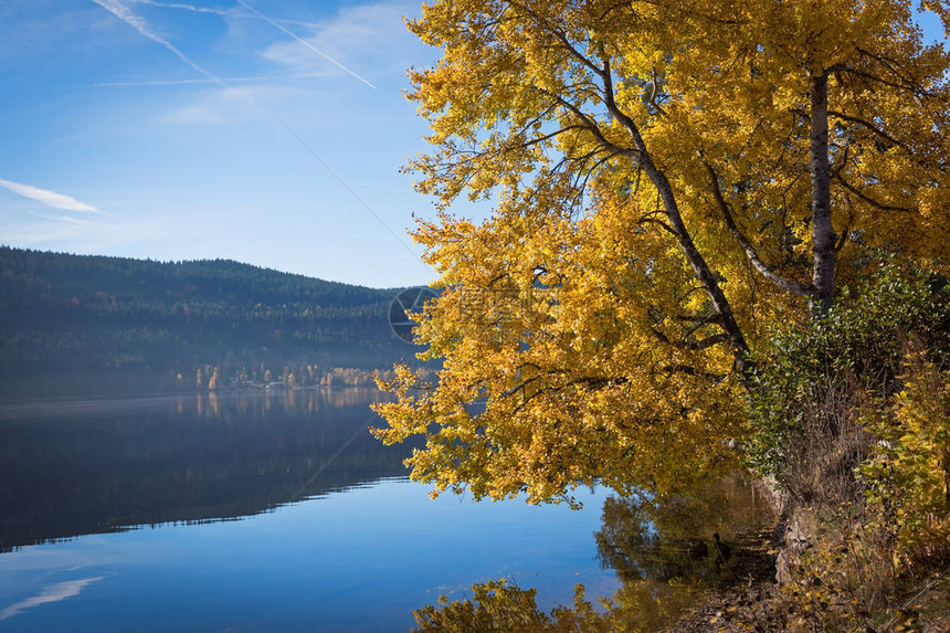 德国阳光明媚的秋天蒂提西湖岸图片
