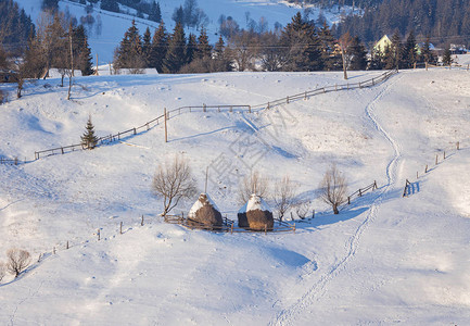 冬季童话般的大雪覆盖了山村的树木和房屋图片
