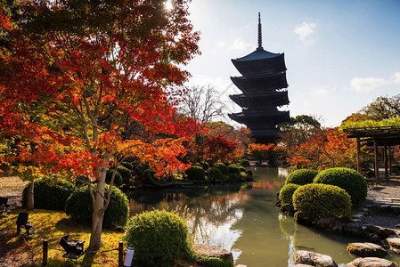 寺木塔有秋天的颜色图片