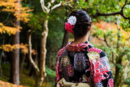 日本美丽的日本和服同音女子享受秋天的秋叶在日本图片