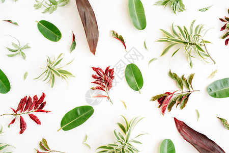红绿花瓣和树叶图案在白色背景上图片