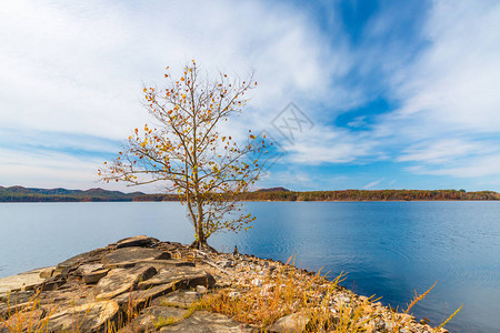 在美国肯塔基州肯塔基州美丽的湖边的岩石海岸上图片