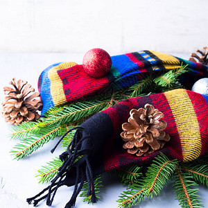 法尔树枝以羊毛围巾松果和圣诞冬季图片