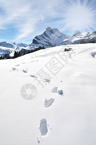 在冬天山的雪脚印图片